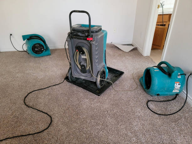 Best Basement water damage restoration  in Los Alamitos, CA