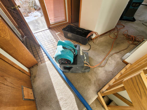 Best Ceiling water damage repair  in Los Alamitos, CA