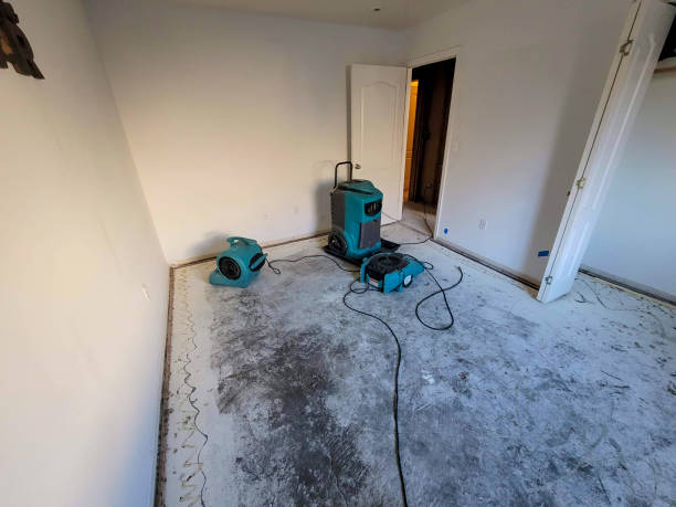 Best Water damage contractors near me  in Los Alamitos, CA