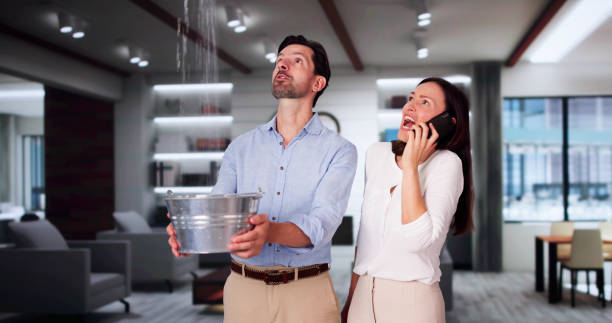 Best Mold removal after water damage  in Los Alamitos, CA