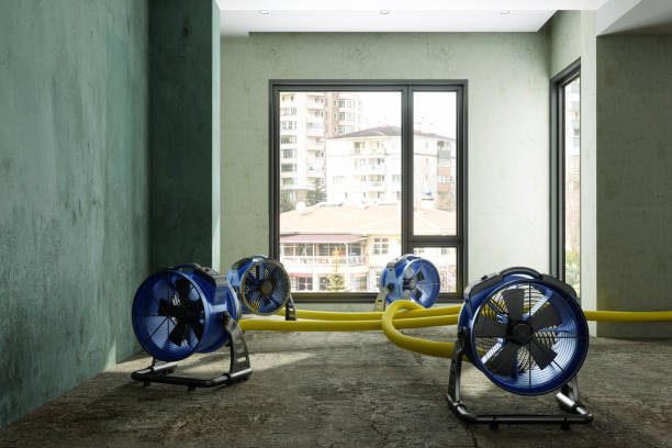 Best Residential water damage restoration  in Los Alamitos, CA
